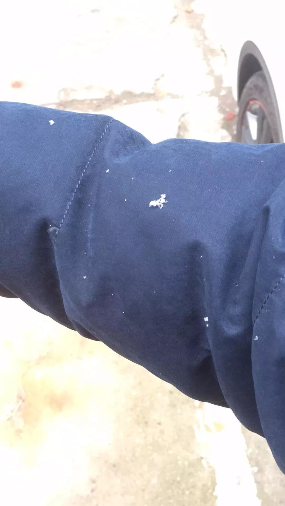 剛剛！南昌下雪啦！明后天還有更大的！江西元旦天氣出爐！