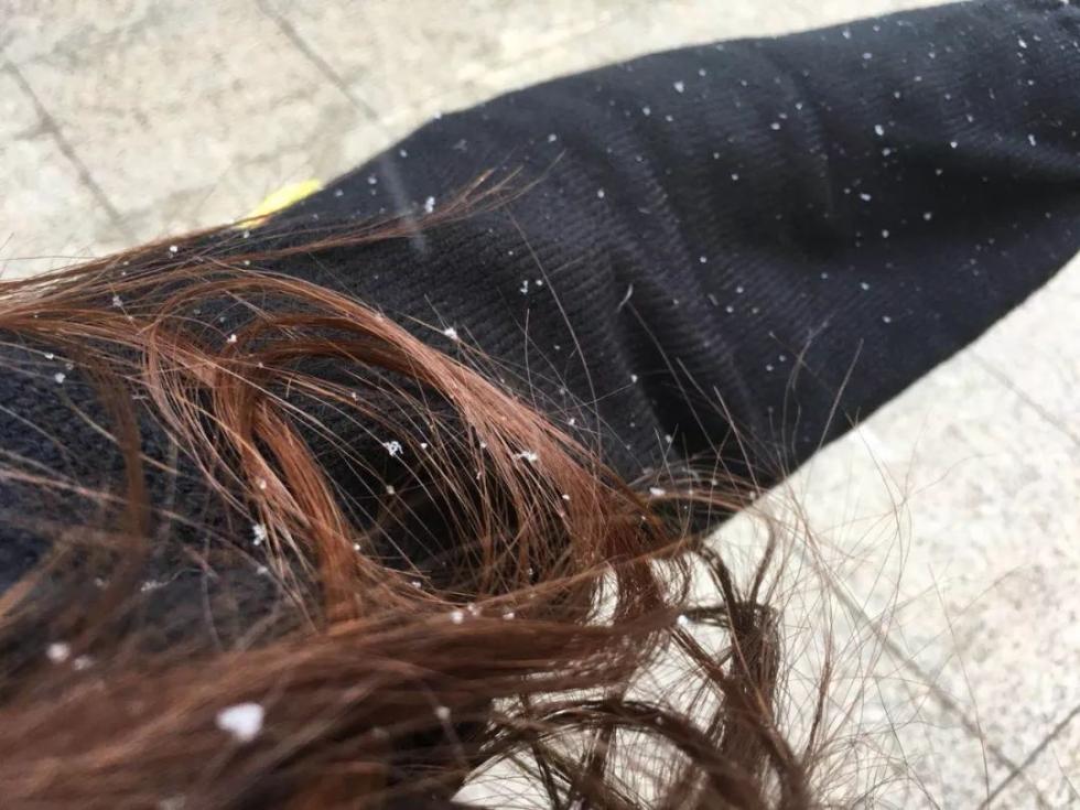剛剛！南昌下雪啦！明后天還有更大的！江西元旦天氣出爐！