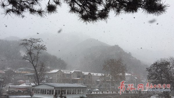 青島今天又下雪啦！最新一波雪景出爐
