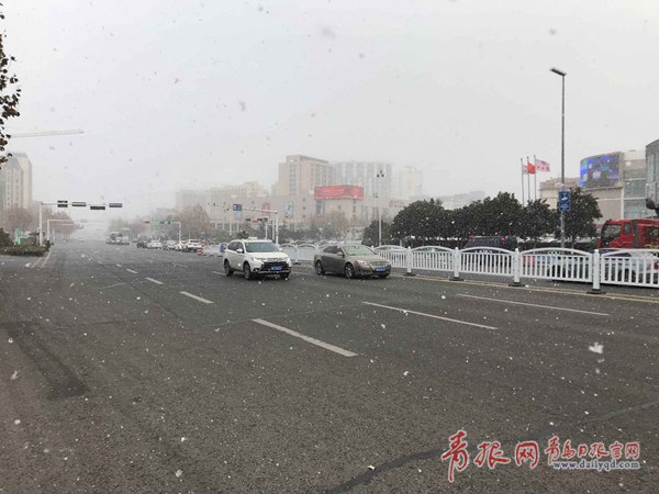 青島今天又下雪啦！最新一波雪景出爐
