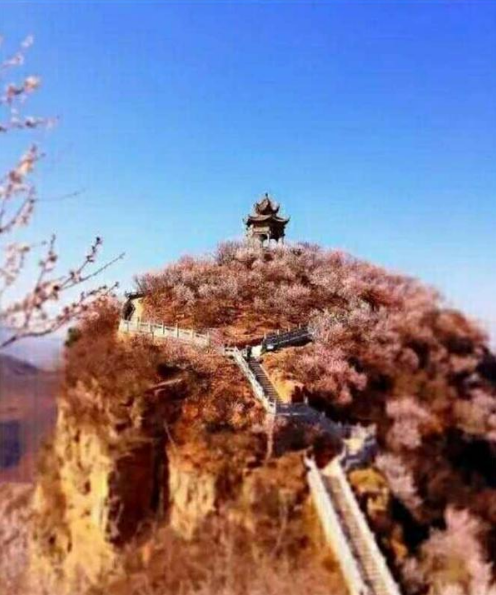 2018洛陽荊紫仙山第四屆桃花節新聞發布會在鄭州舉行