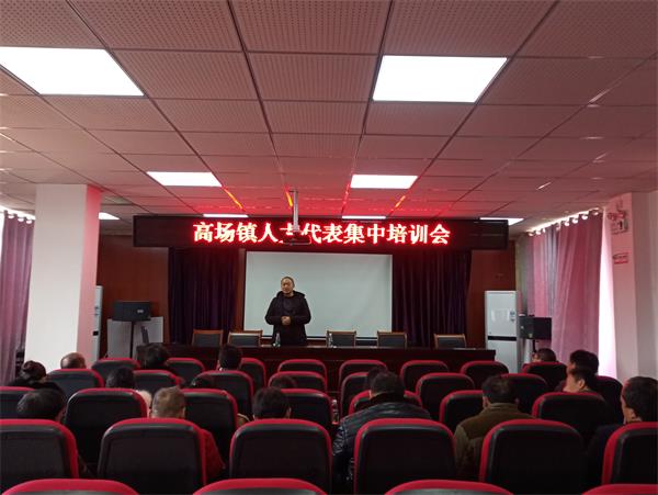 強化職能監督 提升履職水平——高場鎮組織人大代表開展視察活動