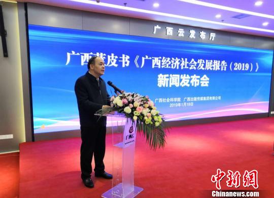 圖為廣西社會科學院院長陳立生介紹《廣西經濟社會發展報告(2019)》相關情況。　楊陳 攝