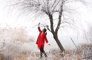 山西運城：出現罕見的霧凇景觀 城市變身冰雪王國