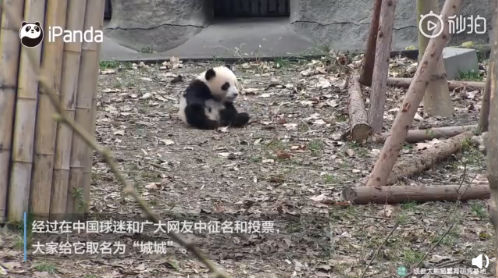 【18點(diǎn)見】河北張家口致24死爆燃事故調(diào)查報(bào)告發(fā)布：化工公司瞞報(bào)