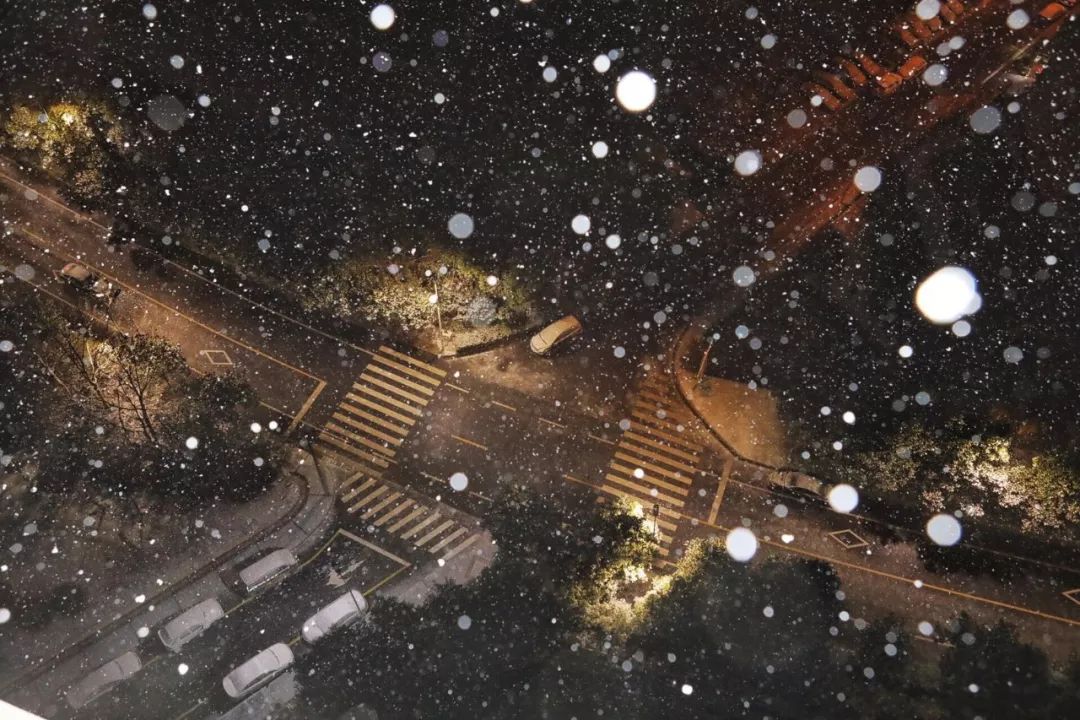 應急發布：雪怎么下？路管不管制？返程怎么走？