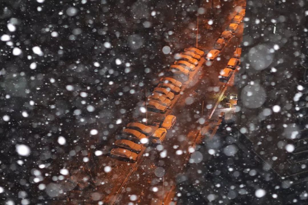 應急發布：雪怎么下？路管不管制？返程怎么走？