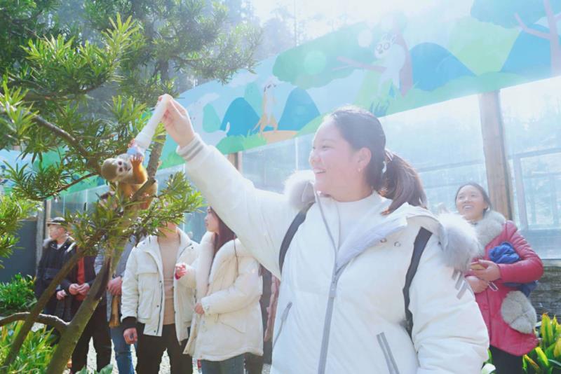 雨城區(qū)2019年春節(jié)假日旅游興盛迎來(lái)豬年