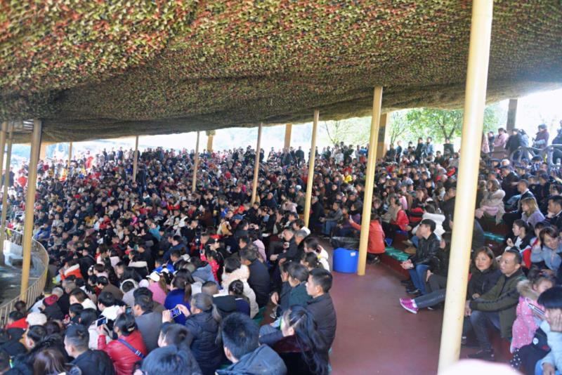 雨城區(qū)2019年春節(jié)假日旅游興盛迎來(lái)豬年