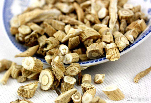 板藍根ISO國際標準發(fā)布，科研團隊揭秘中醫(yī)藥如何走出國門