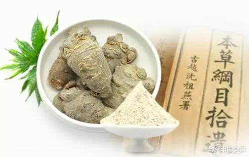 板藍根ISO國際標準發(fā)布，科研團隊揭秘中醫(yī)藥如何走出國門
